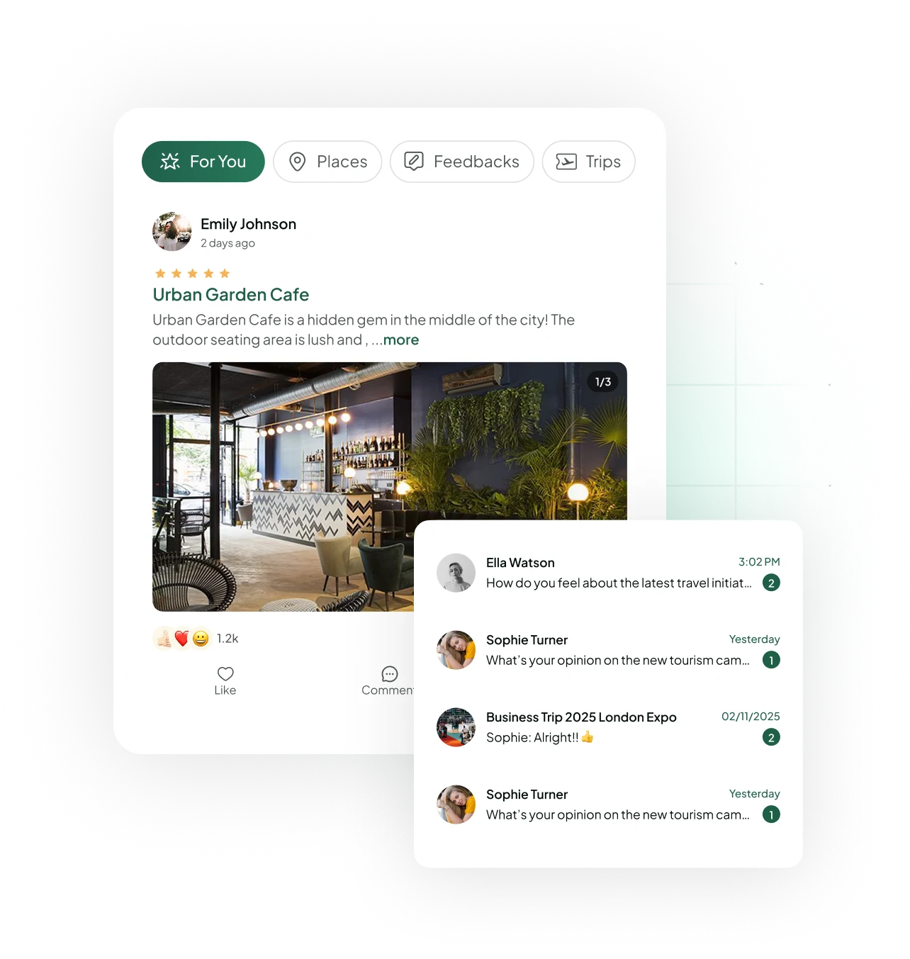 Social feed and chat interface